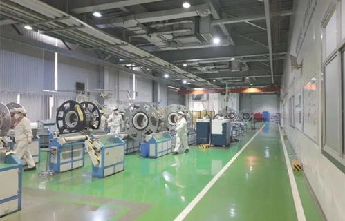 以教育之強譜寫高質量發展新篇 浙大勇擔使命，我與教育強國共成長